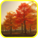 Colorful Autumn Live Wallpaper Icon