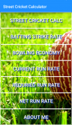 Street Cricket Calculator screenshot 0