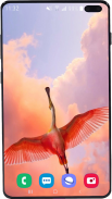 Flamingo Wallpaper HD screenshot 11