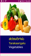 Learn Kannada Fruits and Vegetables screenshot 13