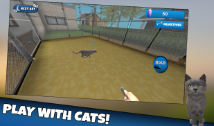 Cat Shelter Simulator 3D screenshot 1