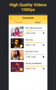 Video Downloader screenshot 2
