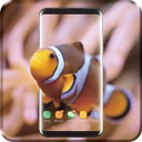 3D Clownfish Live Wallpaper