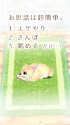 癒しの子犬育成ゲーム〜チワワ編〜 screenshot 9