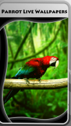 Parrot Live Wallpapers screenshot 1