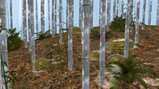 Bamboo Forest Wallpaper Lite screenshot 8