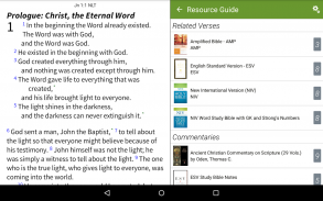 NLT Bible App by Olive Tree screenshot 4