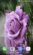 Rainy Purple Flower LWP screenshot 2