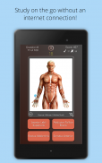 Anatomist - Anatomía Cuestionario Juego screenshot 1