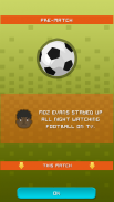 Village Cricket screenshot 2