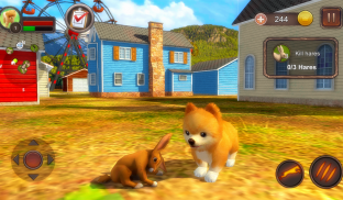 Pomeranian Dog Simulator screenshot 6