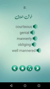 English Urdu Dictionary +Roman screenshot 3