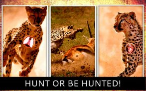Cheetah Hunter 2016 screenshot 7