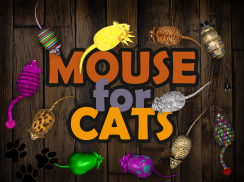 Mouse for Cats - Mysz dla kota screenshot 2