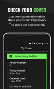 Green Flag screenshot 2