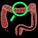 Colon App Icon