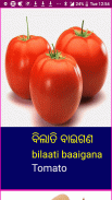 Learn Odia Fruits and Vegetables Names screenshot 15