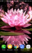 Magical Pink Flower LWP screenshot 1