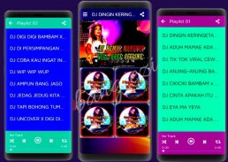 DJ Dingin Keringetan Aisyah Maimunah Remix Offline screenshot 1