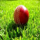 Howzat Cricket 2D Icon