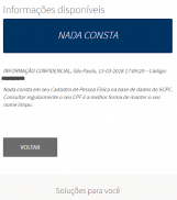 Consulta CPF SPC SERASA screenshot 2