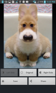 Bisymmetry - make funny photo screenshot 2