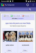 Tu Votación screenshot 3