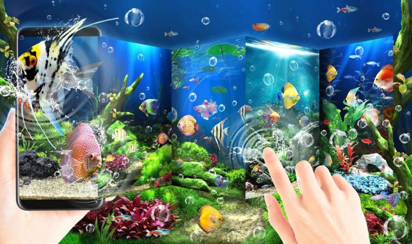海洋魚類動態壁紙2 4 2c 下载android Apk Aptoide 海洋魚類動態壁紙2 4 2c 下载android Apk Aptoide