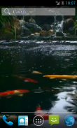 Real pond with Koi screenshot 1