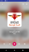 Rojava Radios FM screenshot 0