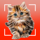 Cat breeds - Smart Identifier Icon