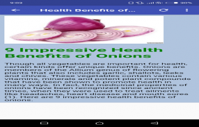 Health Benefits of Onion screenshot 0