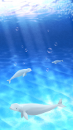 Aquarium beluga simulation screenshot 2