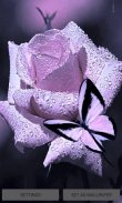 Purple Rose Butterfly LWP screenshot 0