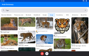 Anek Dictionary (10+ in one) screenshot 17