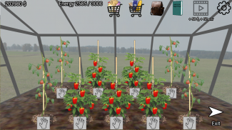 Zaradny Polak screenshot 1