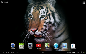 Tiger Live Wallpaper screenshot 10
