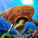 Archelon Simulator Icon