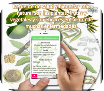 Plantas Medicinales screenshot 3