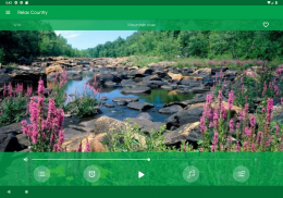 Relax Campo: sons para dormir screenshot 8