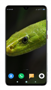 Snake Wallpaper HD screenshot 7