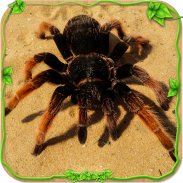 Spider Simulator: Life of Spider screenshot 16