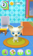 Talking Dog Chihuahua screenshot 19