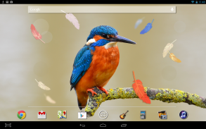 Bird Feathers LWP screenshot 2