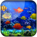 Fishes Live Wallpaper 2020 - Aquarium Koi Bgs Icon