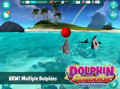 Dolphin Paradise: Wild Friends screenshot 8