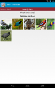 Australian Birds Sounds Free screenshot 2