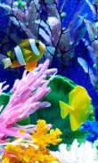 Aquarium Live Wallpaper screenshot 1