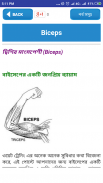 জিম করুন নিজ ঘরেই- GYM Guide-Home Exercise guide screenshot 1