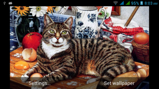 Cute Cats Live Wallpapers screenshot 3